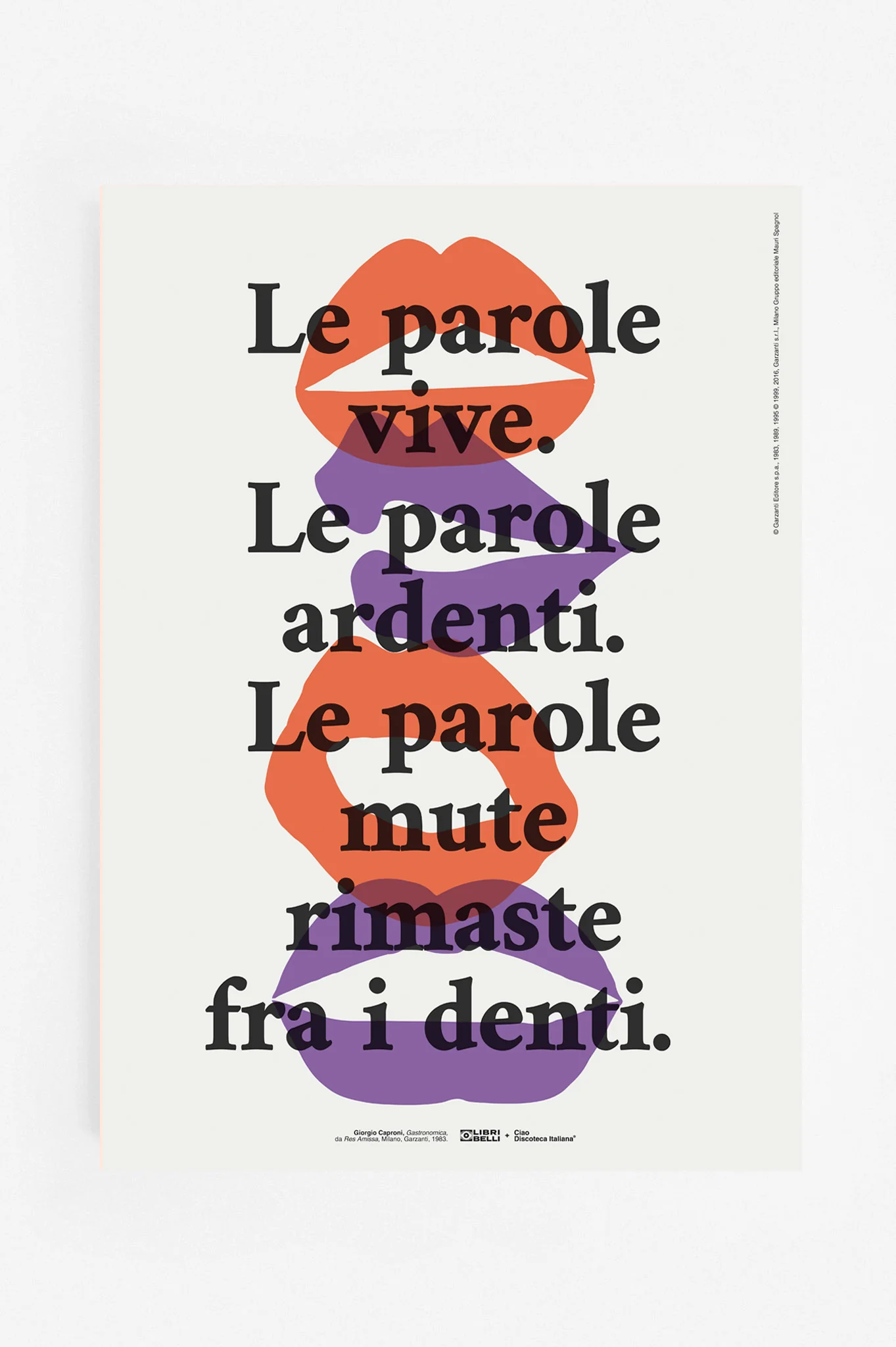 Immagine prodotto 3