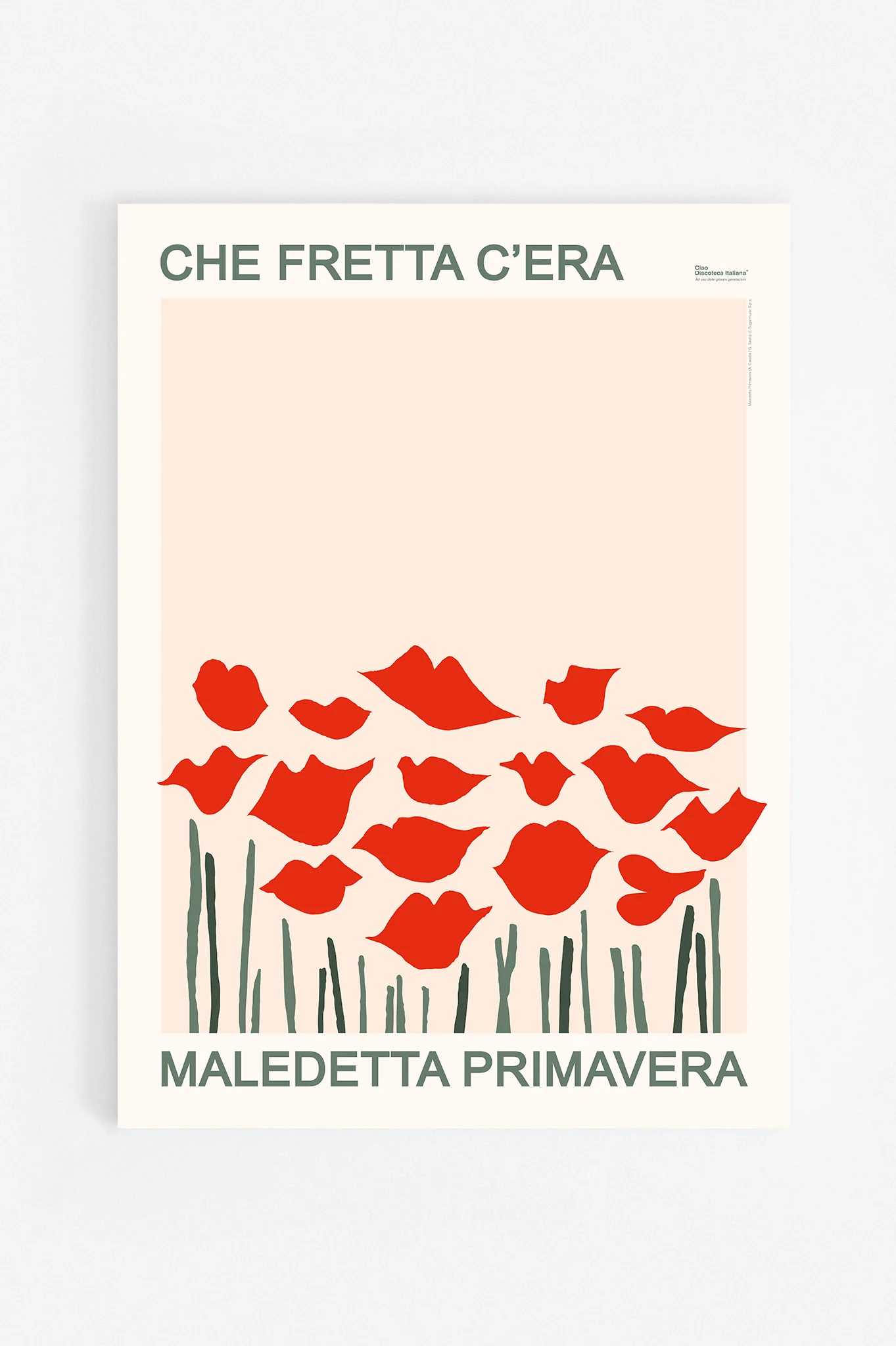 Immagine prodotto 3
