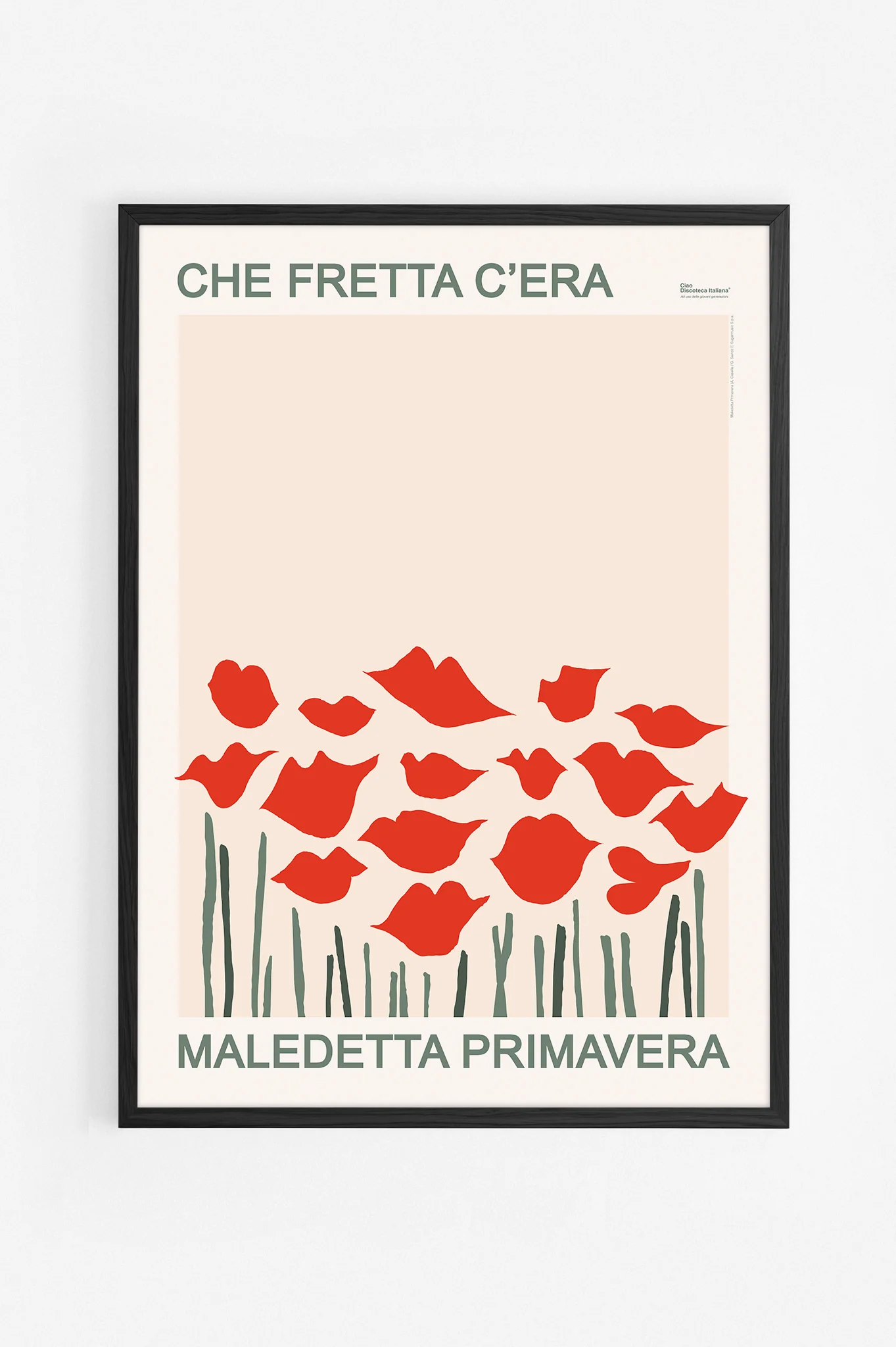 Immagine prodotto 5